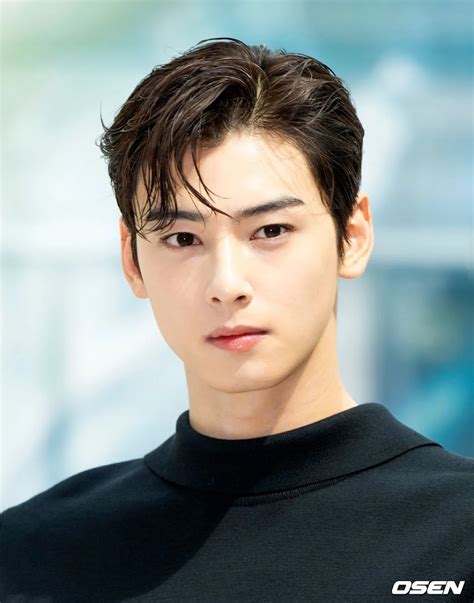 is cha eun woo dior ambassador|cha eunwoo face.